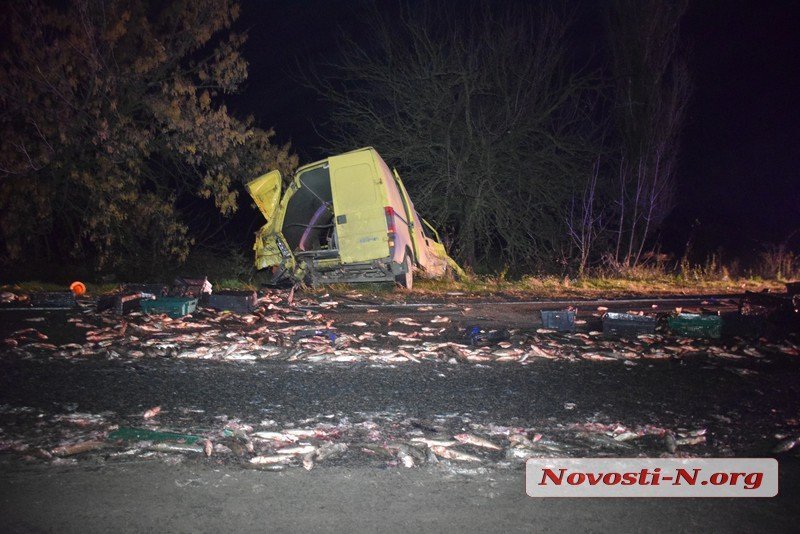  ����������� ��� ������������ ����������� ���� ������������ ����� �������� 