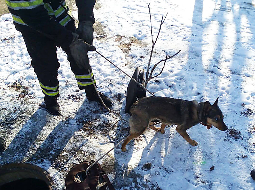  ������������ ��������� �������� ������ ������� ���� 