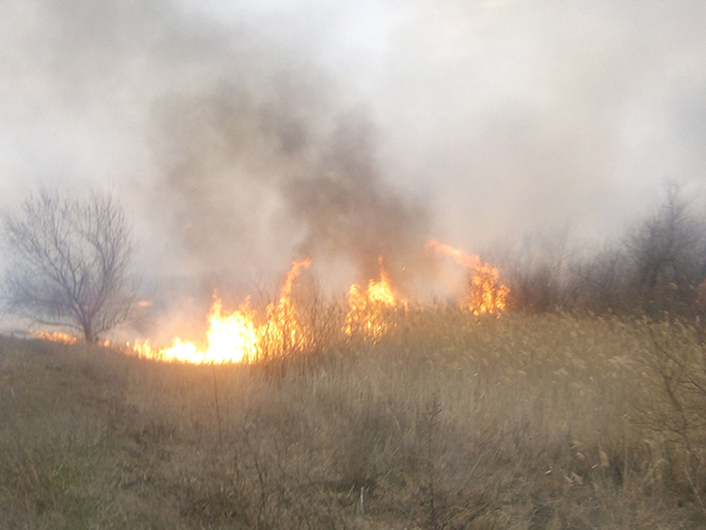  ��������� ������������ ������������� ������ �������� ����������� ���� 