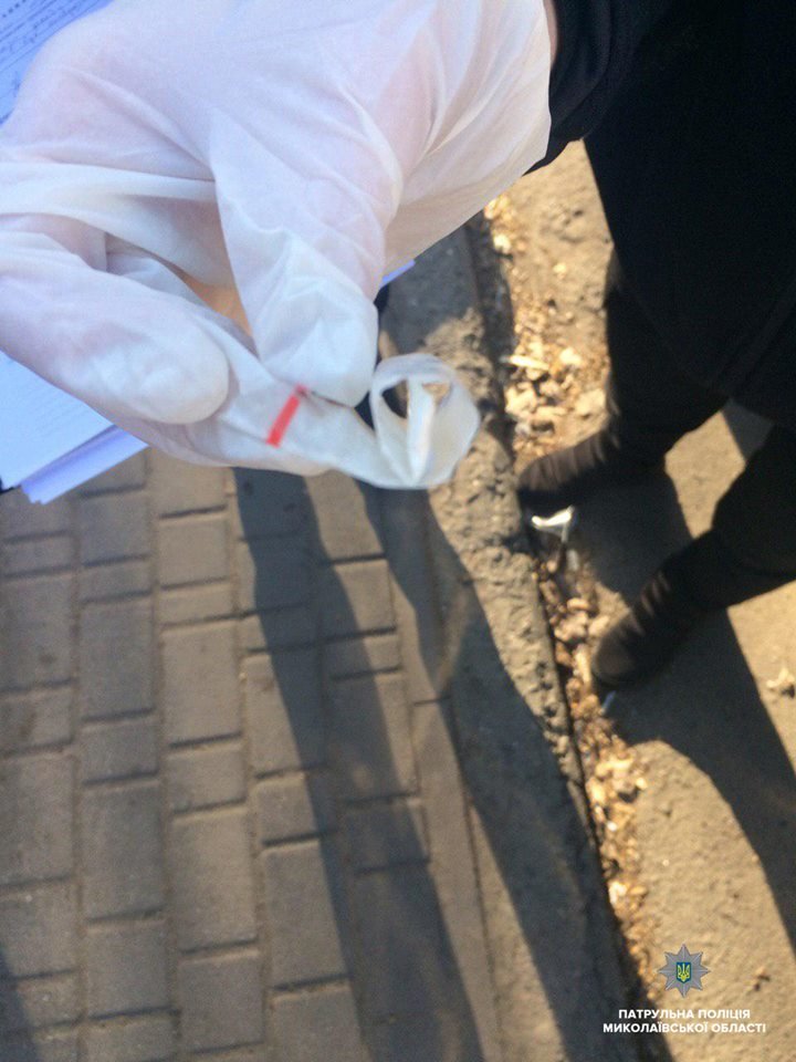  ��������� ������ ������ ���������� ��������� ������� �������� ������� 