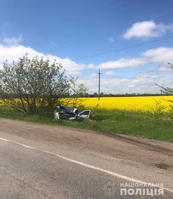  ������ ��� ���������� ������ ���� 