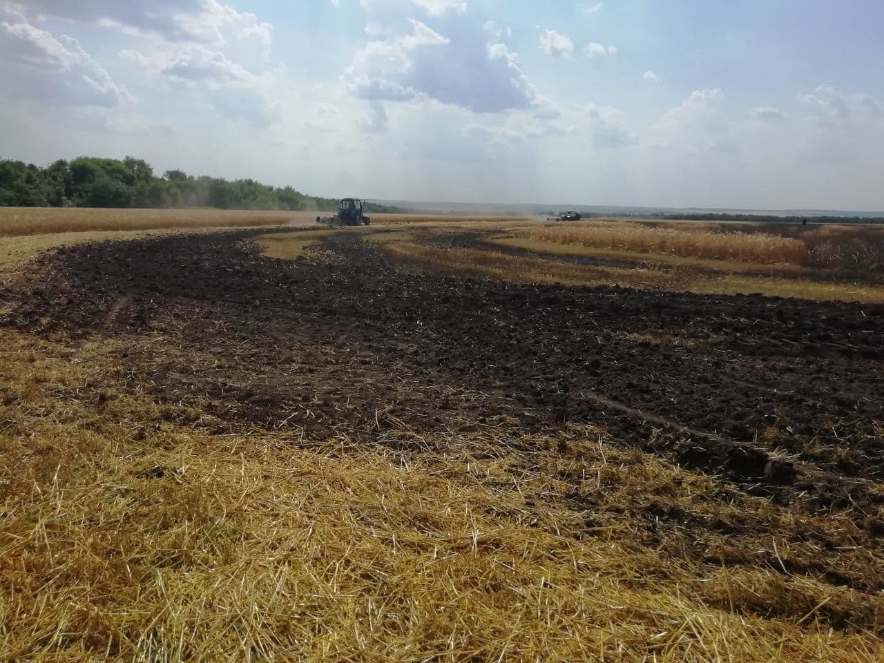  ������������ ��������� ���������� ������������� ������ �������� ����������� ���� 