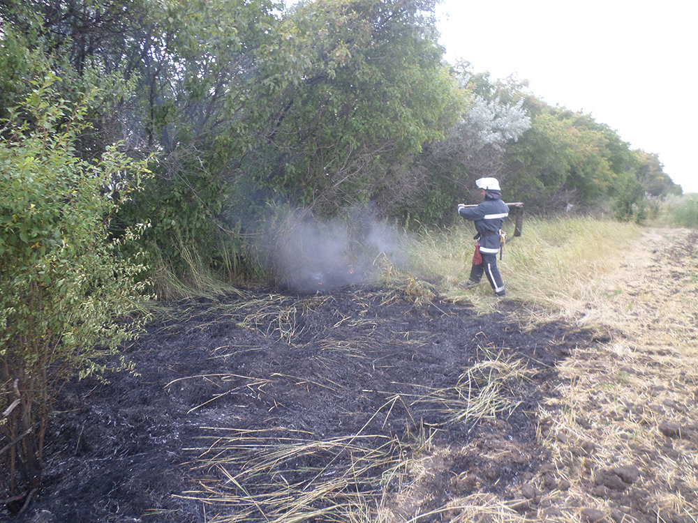  ������������ ���������� ������������� ������ ����� ����� ������ ���� 