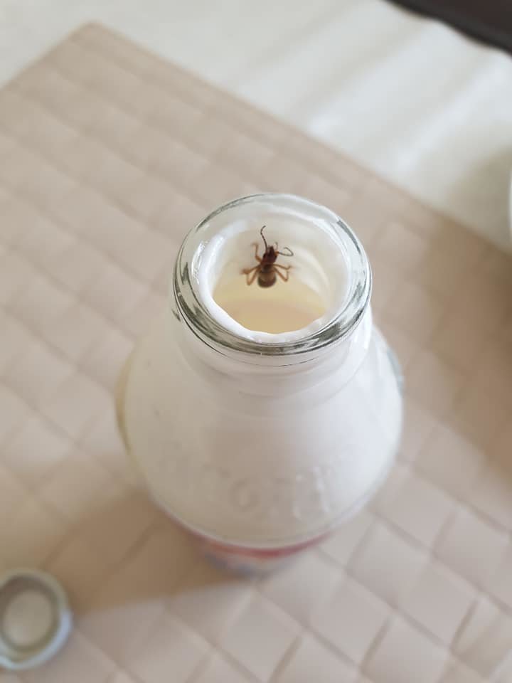  ��������� ������� ������ ������ ��������� ���� 