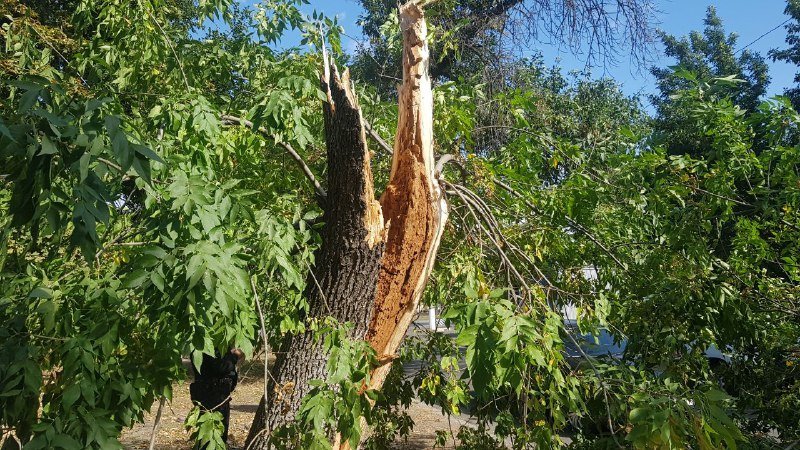  ��������� ������ ����� �������� ����� �������� ������ ���� 