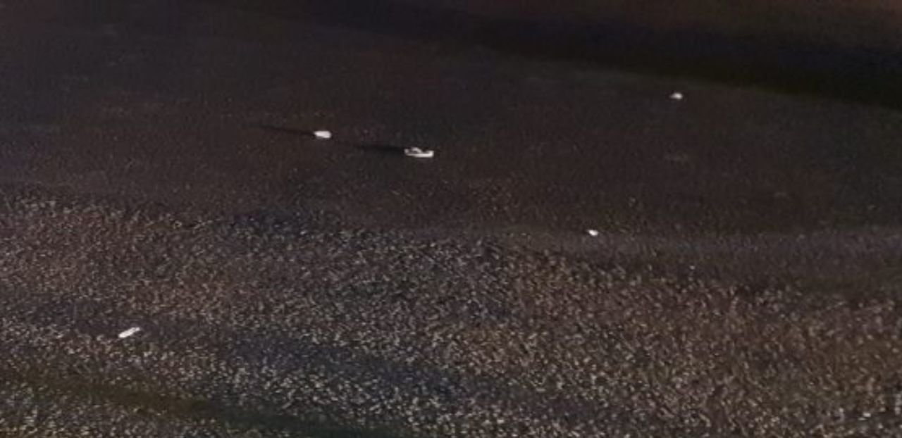  ����� ��������� ���������� �������� ���� �������� ������� ���� 