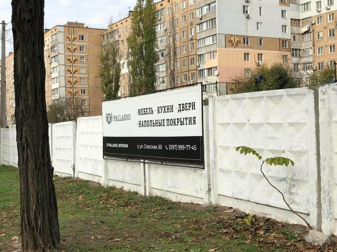  ��������� ������ ����������� ��������� ����������� ���� 