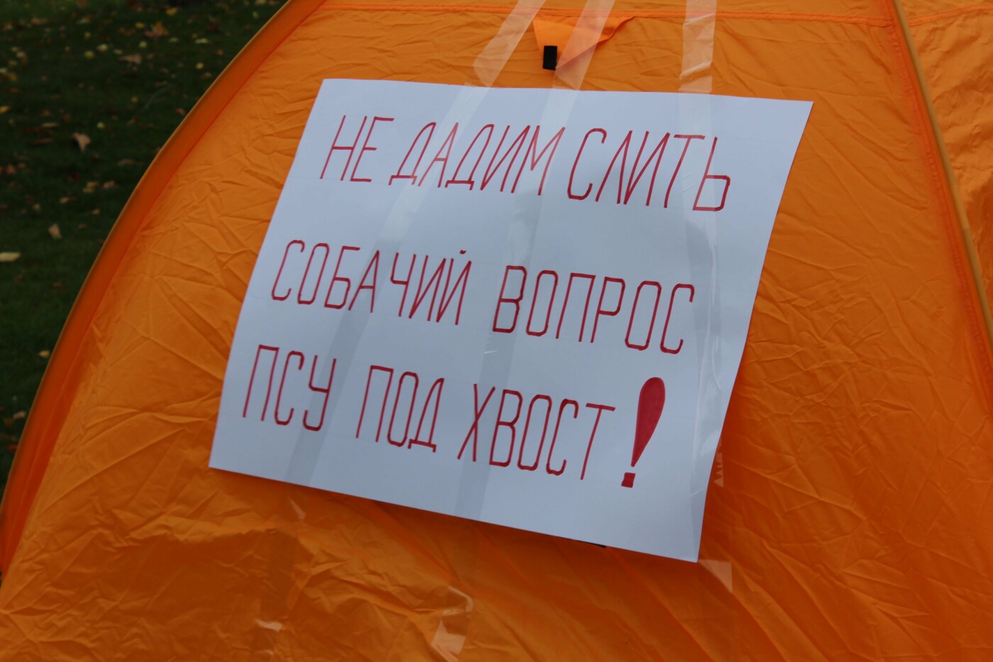  �������� ����� ���������� ��������� ��������� ��������� ������������� ���� 