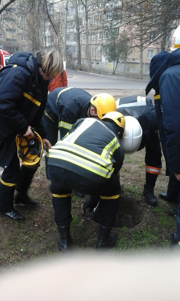  ��������� �������� ���������� ��� ����������������� ���� 