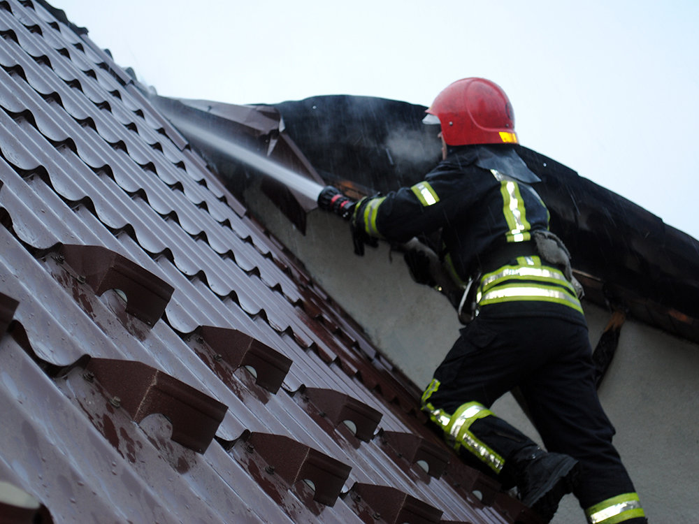  ��������� ������ ����� ������� ���� 