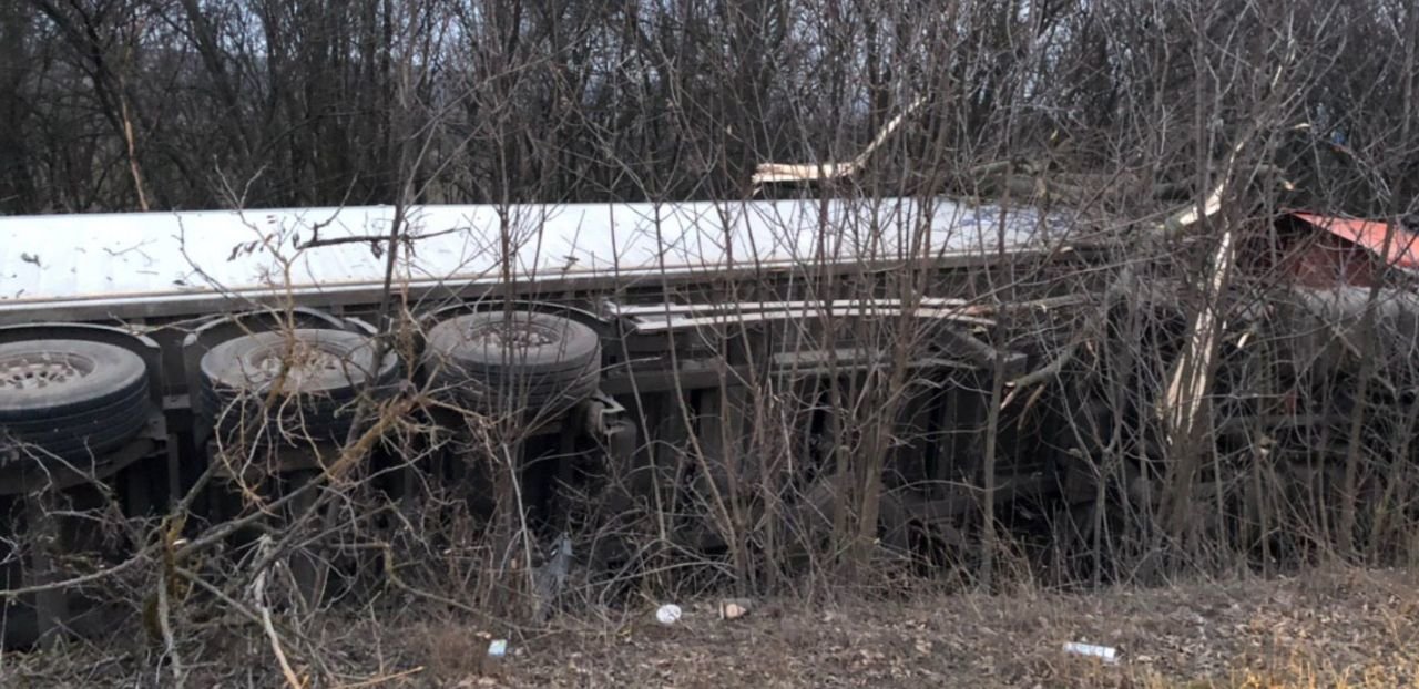  ������������ �������� ���� ��������� ����������� ������������ ���� 