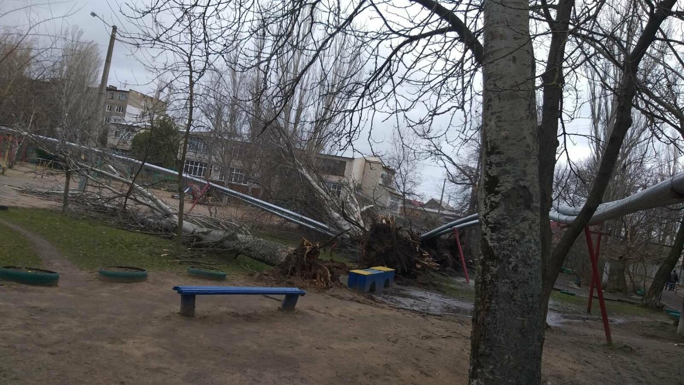  �������� ����� ���������� ���� ���������������� ��������� ��� ����� 