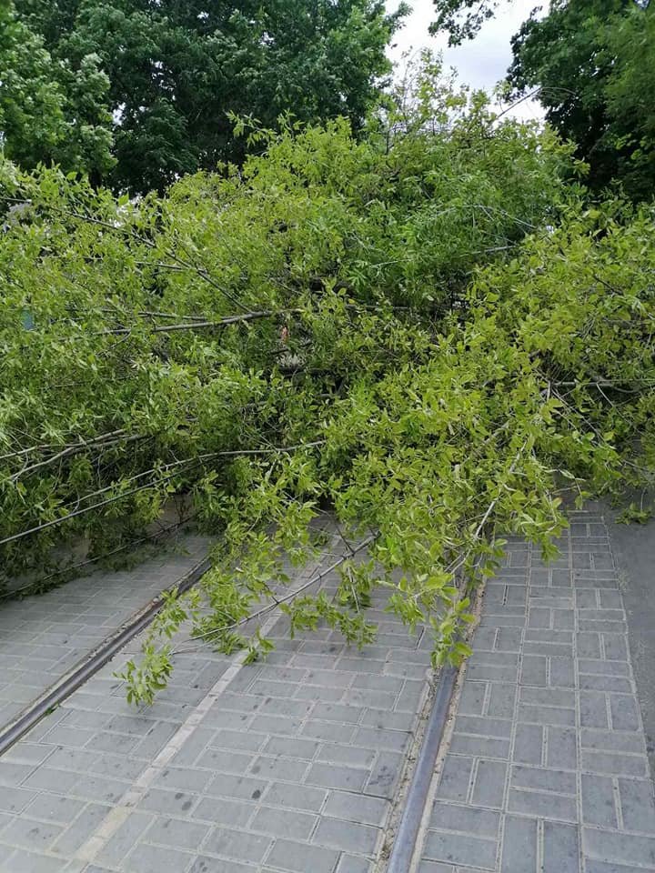  ��������� ������������ �������� �������� ������� 