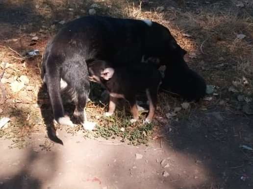  ������������ ��������� ������� ������� ����� ���� 