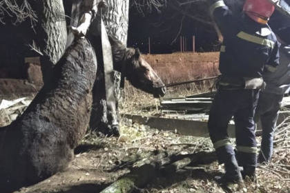  ������������ ������� ��������� ������� ���� ������� 