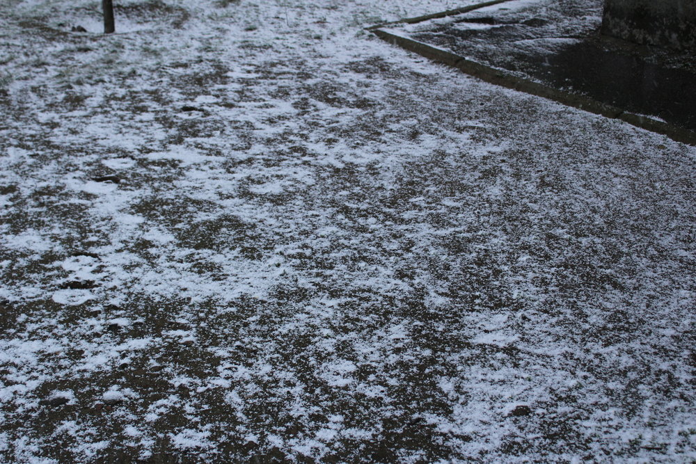  �������� �������� �������������� ���� ������� ���������� ��������-2020 ������� 