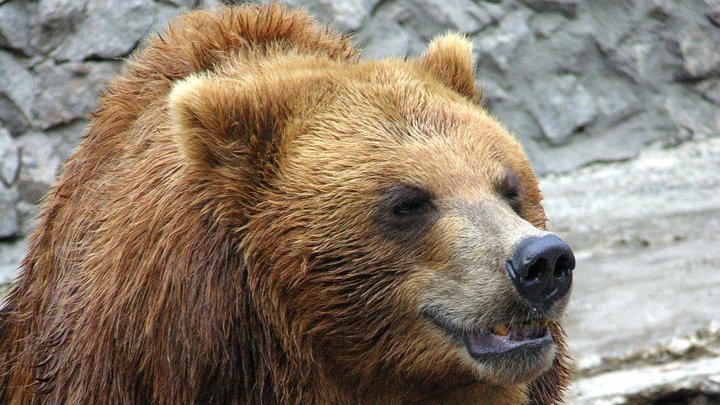  �������-����������� ������������� �������� ������������� ���� �������� ���� 