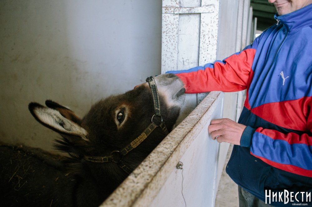  ������������ ������� ������ �������� ������������ ������� ������������� ����� 