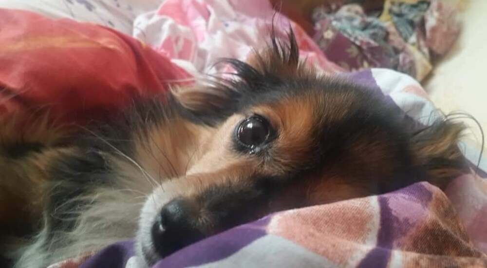  ��������� ������� ��������� ������ ������� ������� ������� ��������� 