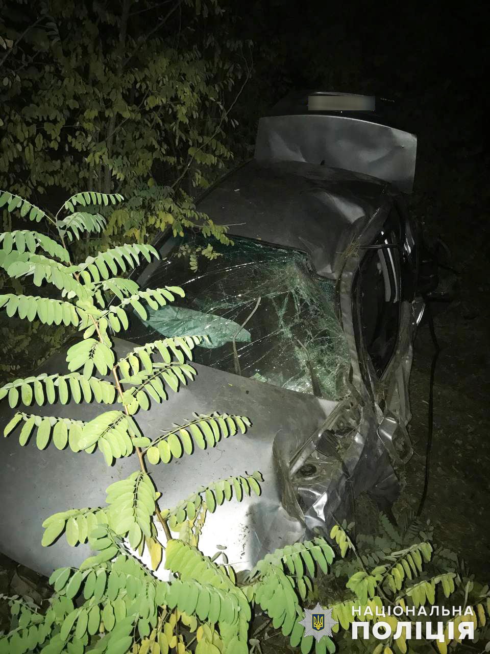  ����������� ��� ������ ���������� �������� ���� 