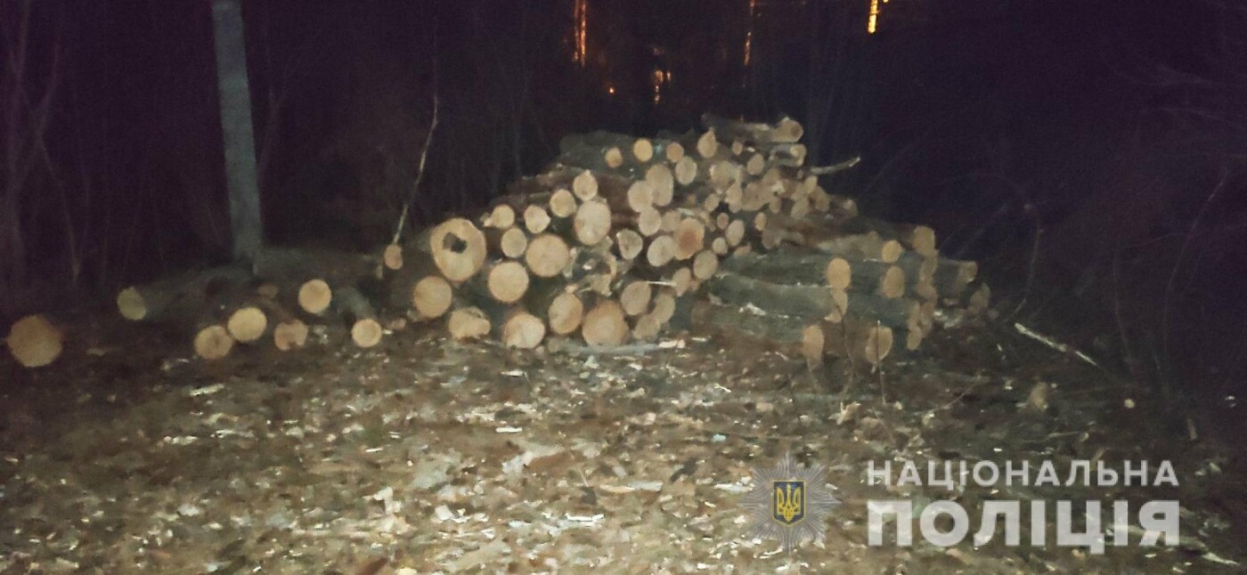  ������������ ������� ����������� �������� 45�3 �������� ���� 