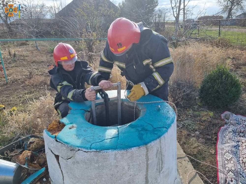  ������������ ������� ������� ���������� ���� ������� ���� 