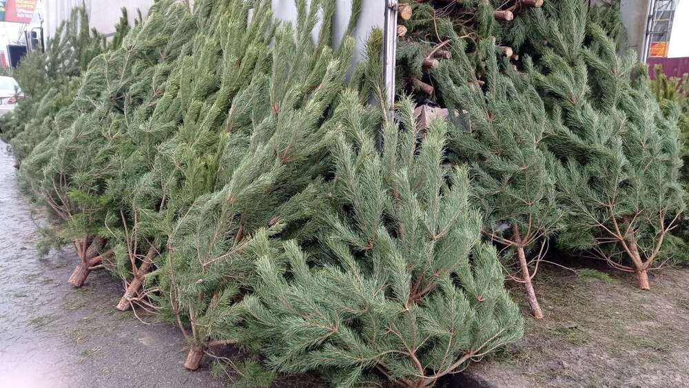 ����: 0512.com.ua