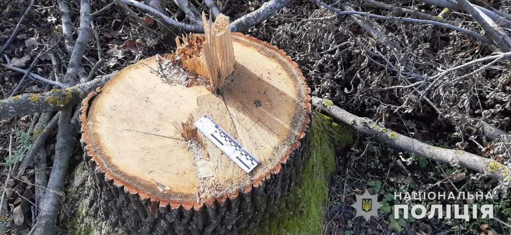 ����: 0512.com.ua