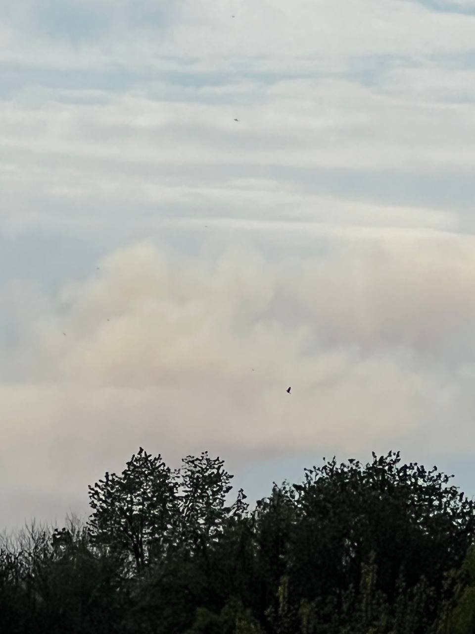  ������� ��� ������ ����� �� ������ ���� ������� 