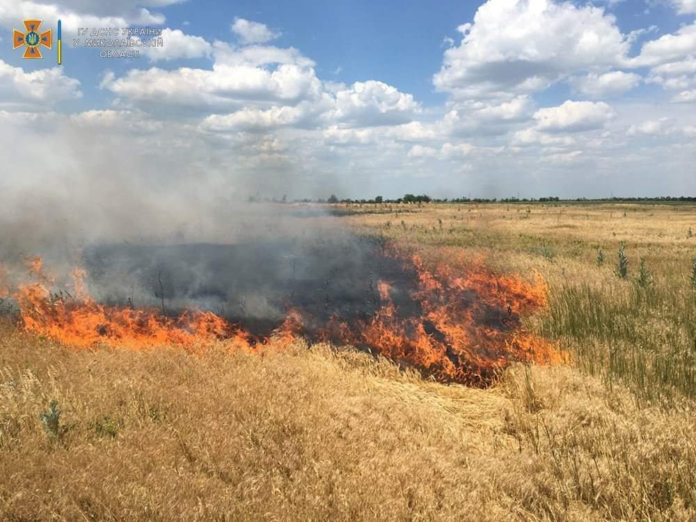  ����������� ������� ������� ������� �� ����� ���� 