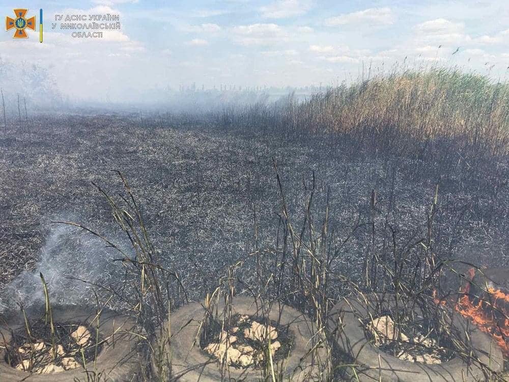  ������ ���� ����������� ������� ����� ��� ����� ������� 