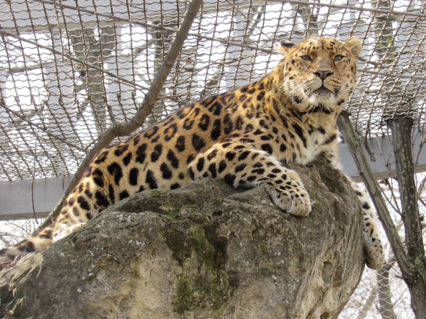  ������������� �������� ������ ����� ����������� ���� �������� ��� 