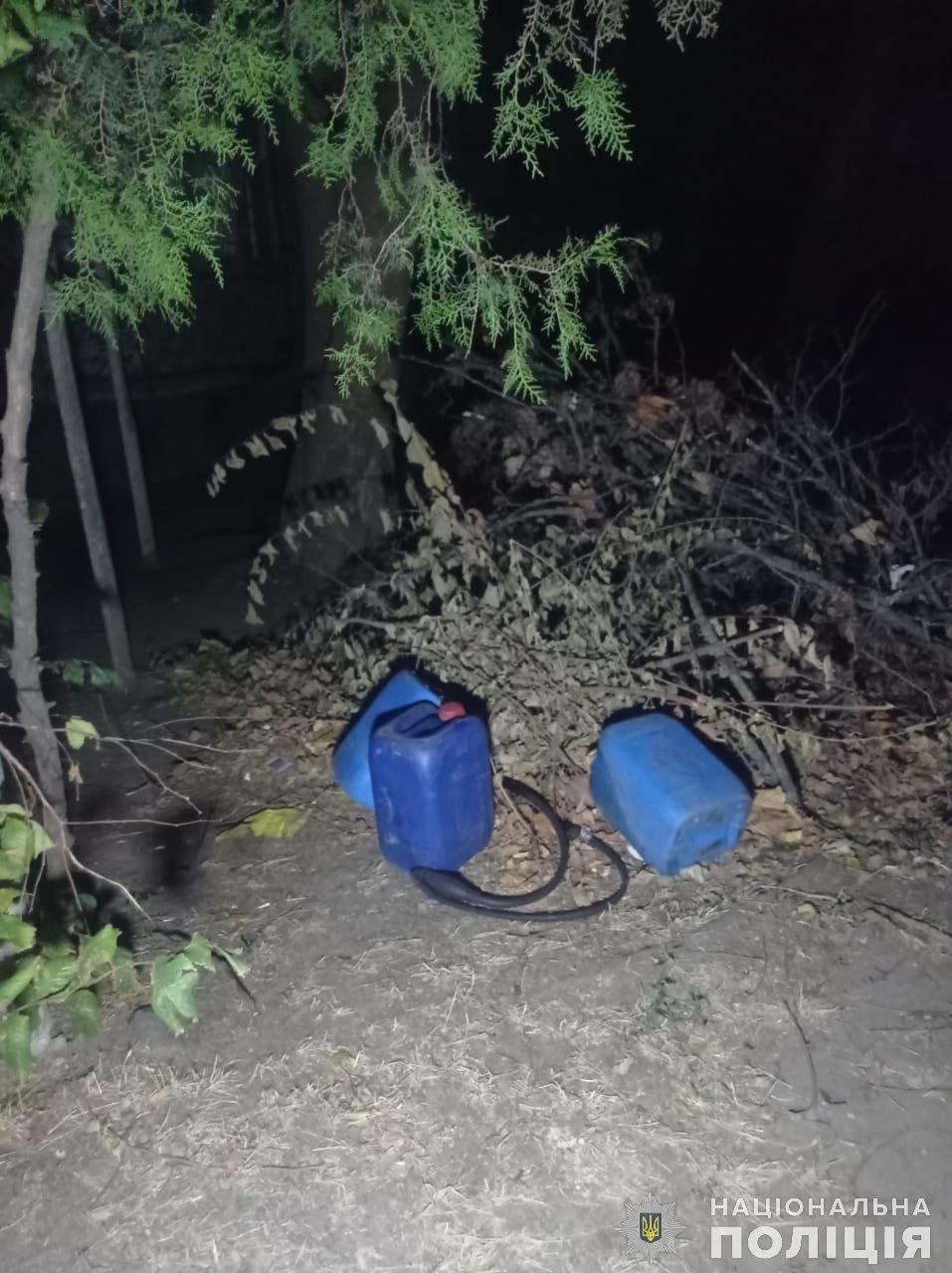  ����������� ��� ������� ������ �������� ���� ������ ������� 