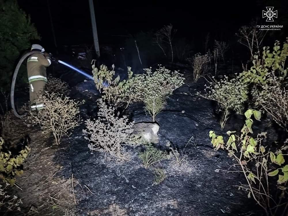 Фото: 0512.com.ua