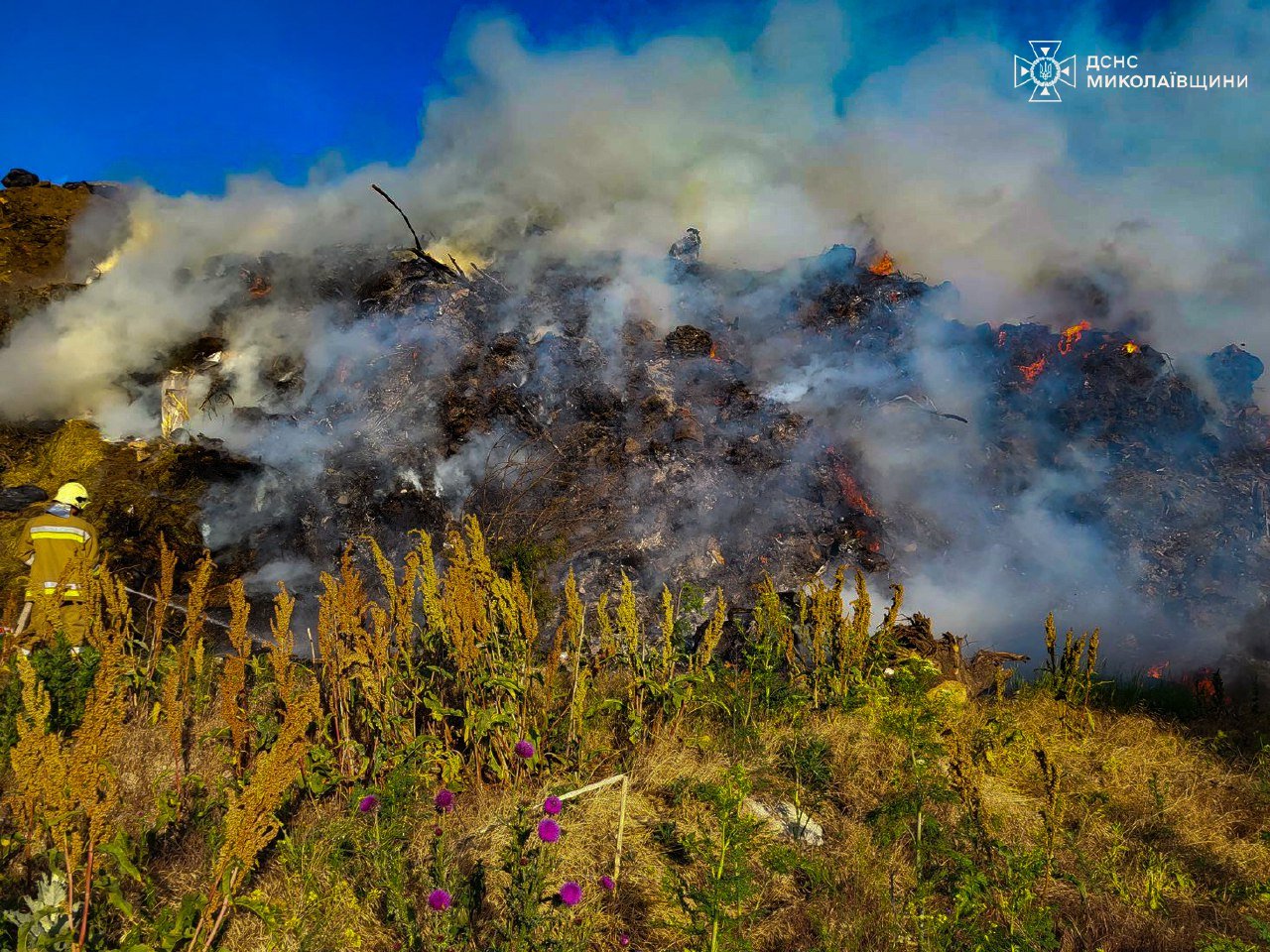  ����������� ������ ���� ����� ������ ����������� ���� 