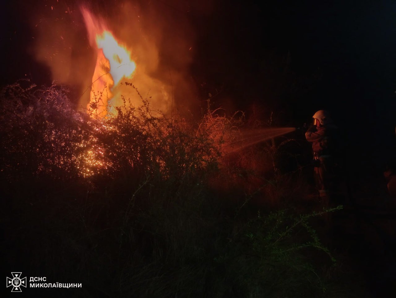  ������������ ����������� ��������� ������� ����� ��������� ������ �������� 