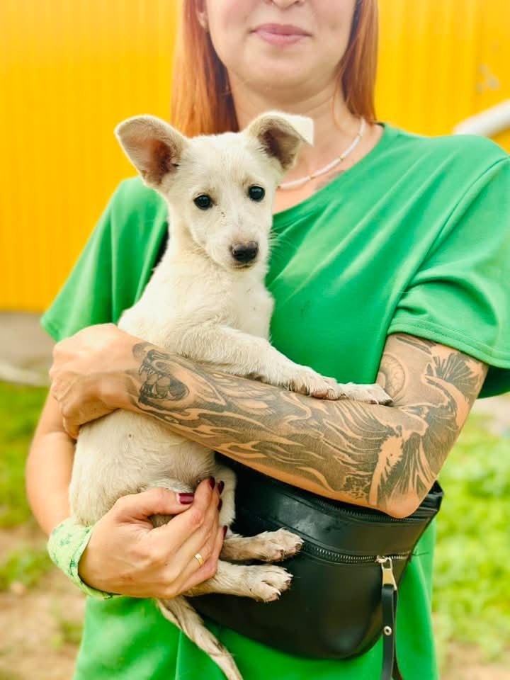 ����: 0512.com.ua