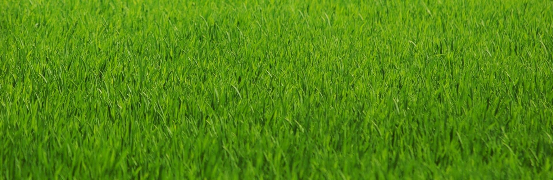  ������ ���������� ��������� ������ ���� ����� 