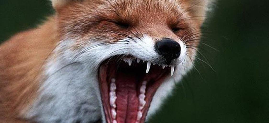  ������ ������� ������������ ������������� ��������� �������� ����� �������� 