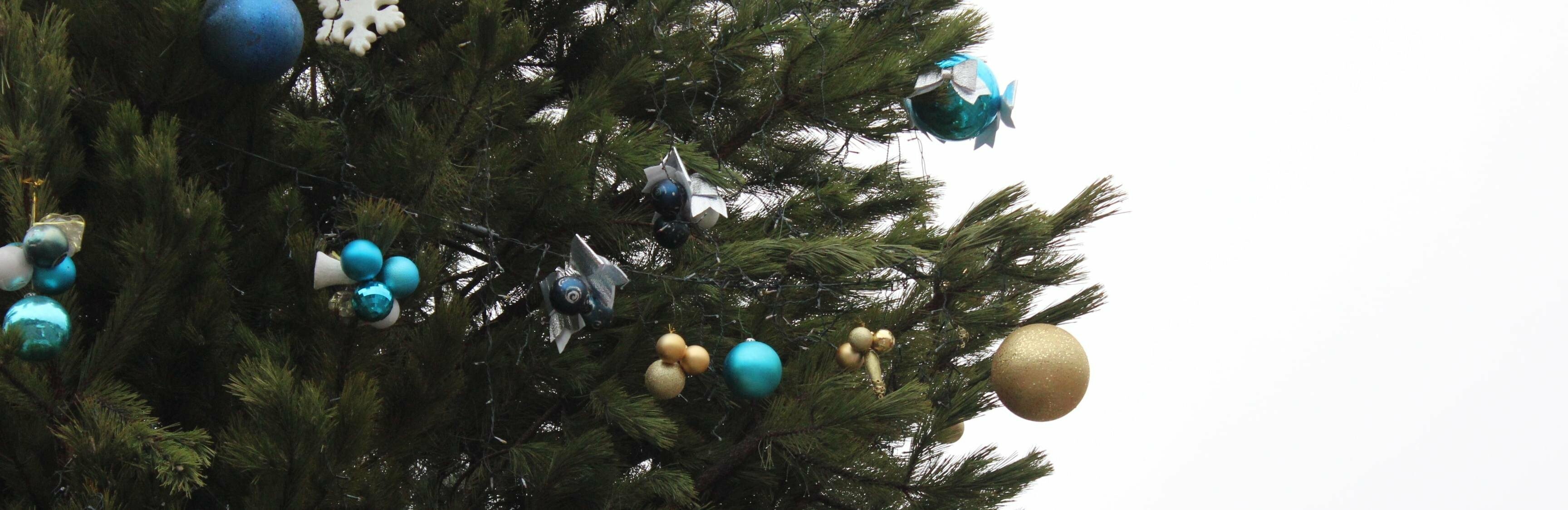  ������������ �������� ������� ������� ���� ����������� ������ ���� 