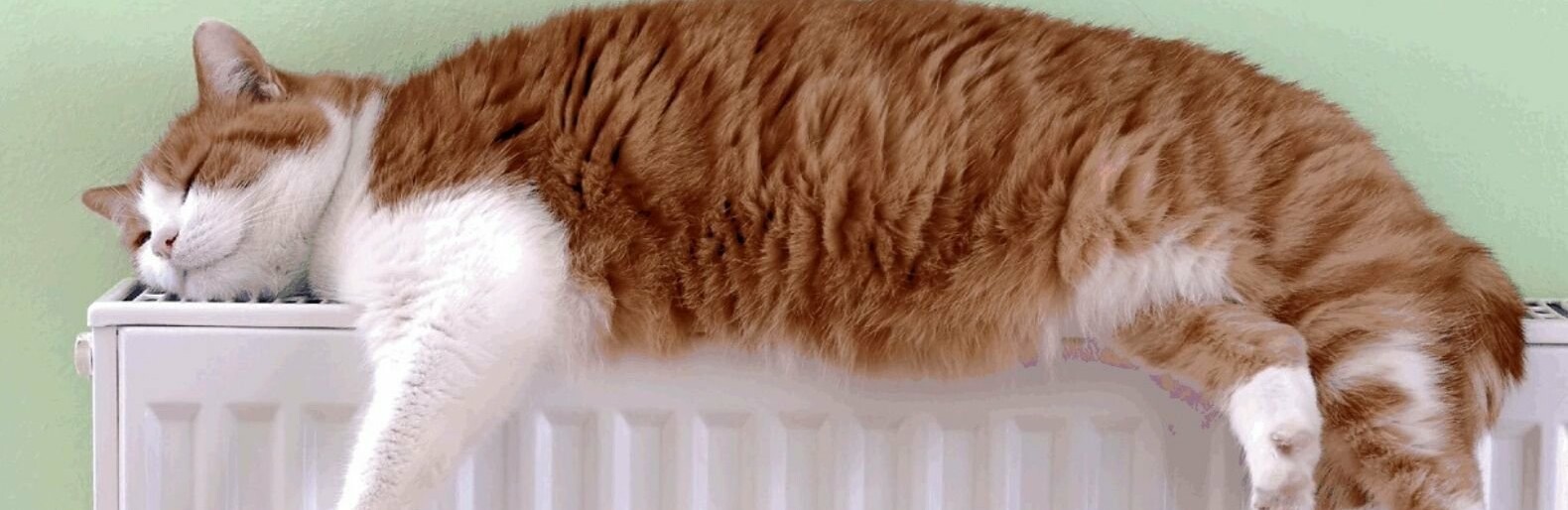 ����: 0512.com.ua