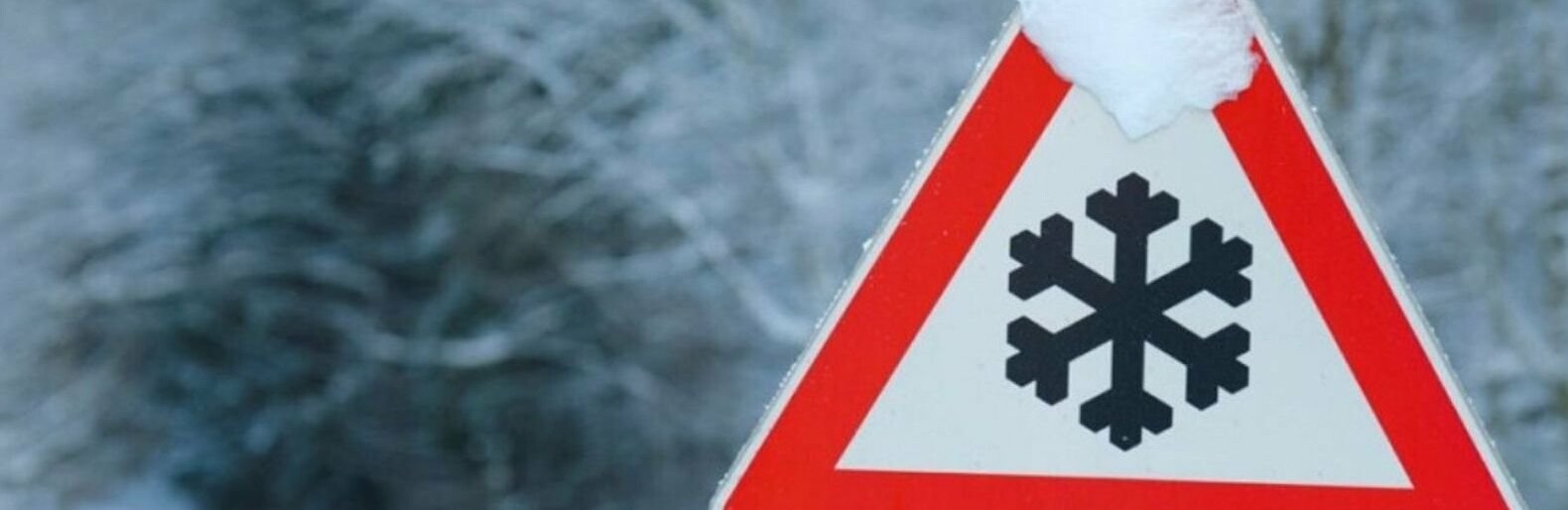  ������������ ��������� ��� ��������� ������ 