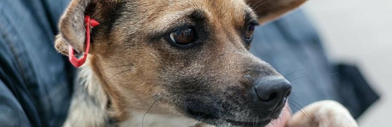  ������ ������ ������ �������� ���� ������ ���� 