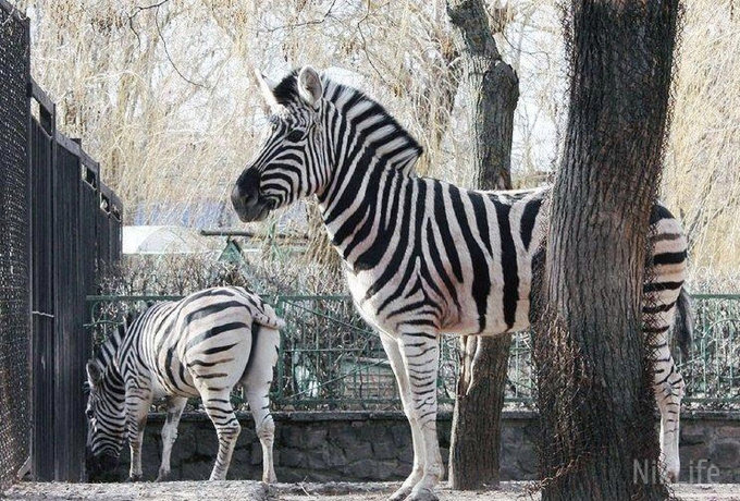  ������������ ������� ����� ������� �������� ������ ����� �������� 