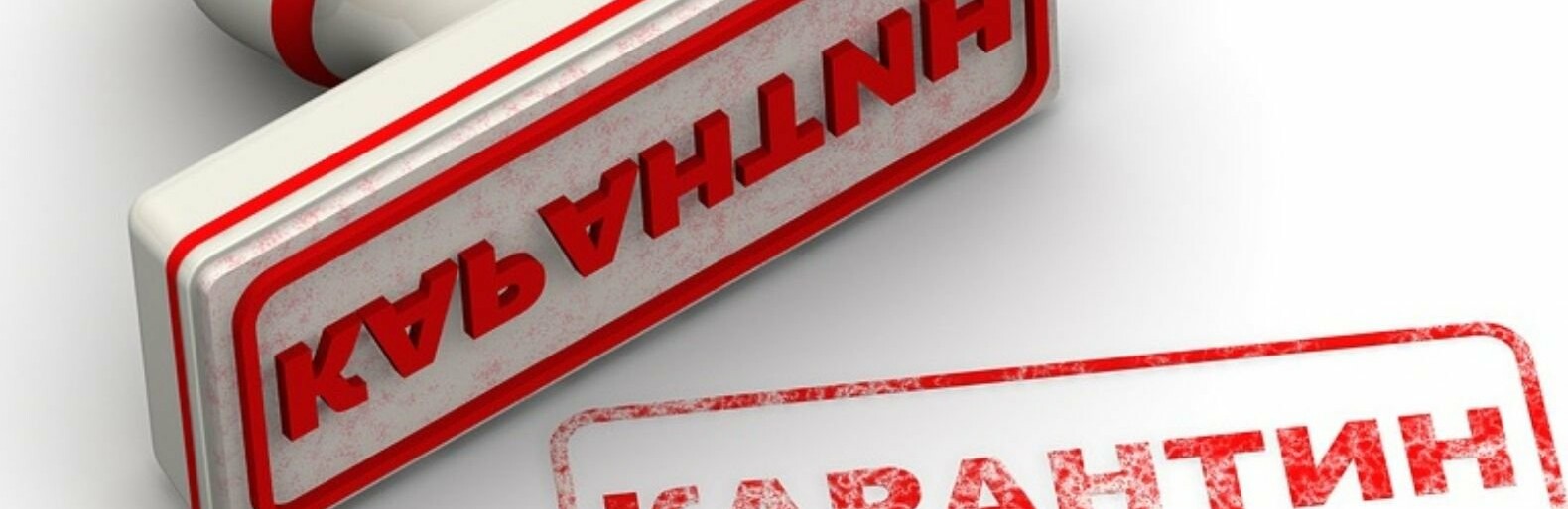  ������������ �������� ���������� ���������� ����������� ���������� ��������� 