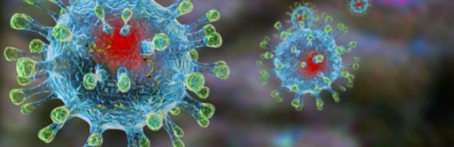  ������� ���������� ������� ������������ ����������� ���� 