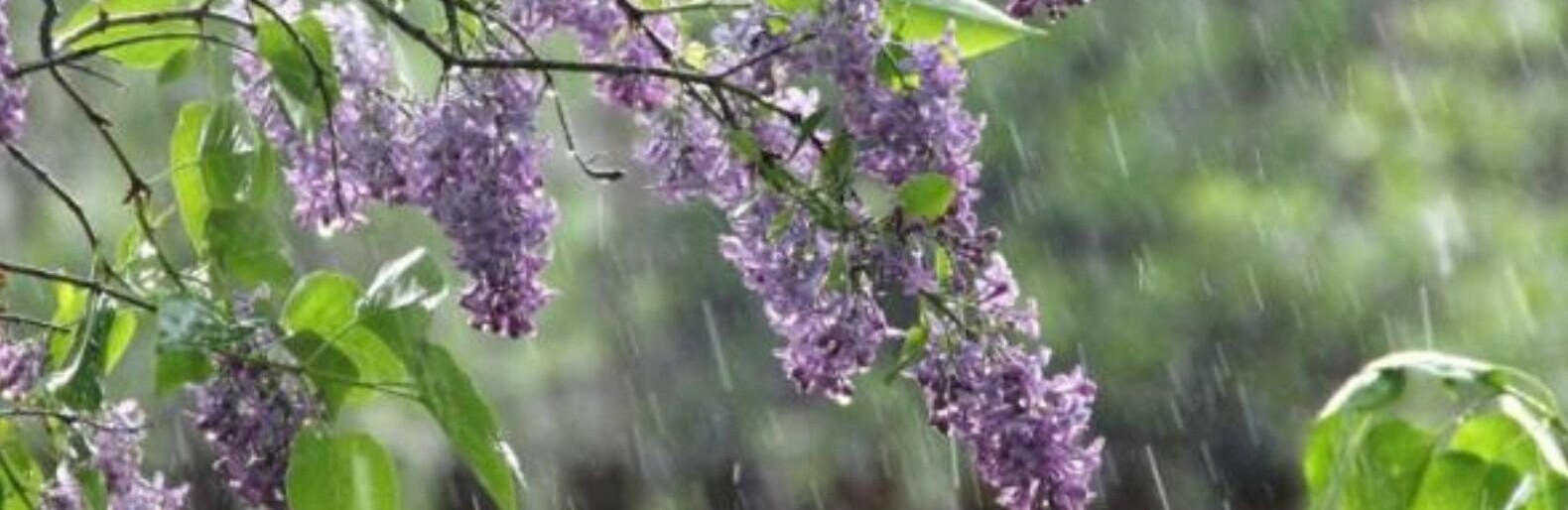 ����: 0512.com.ua