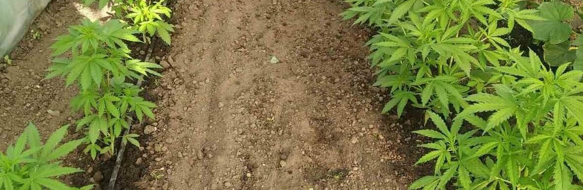  ������������ ������� ������ ������� ������ ������� 