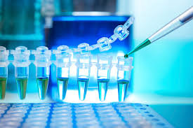  ����� ������������ ������� ����������� covid-19 