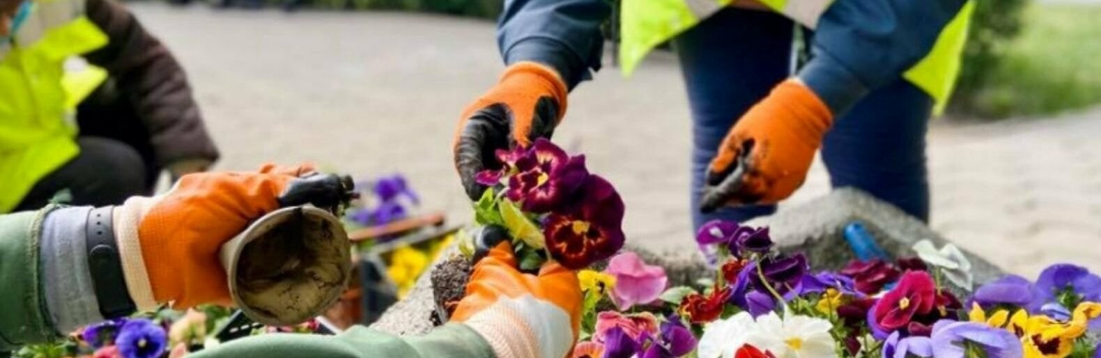  ��������� ����������� ��� ������ ���������� ������� ������ ����� 